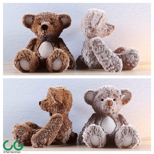Bears